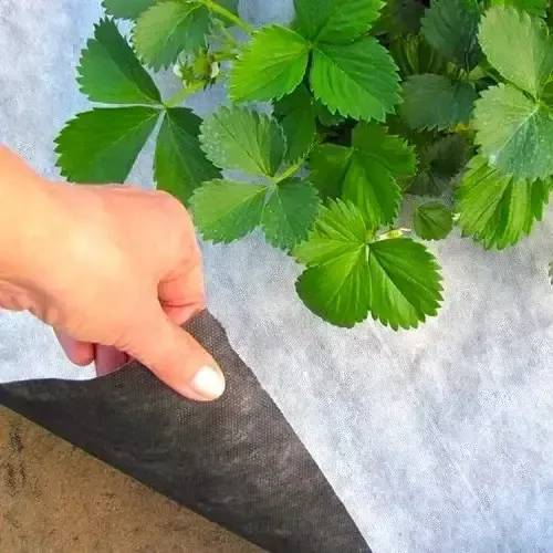 Агроволокно 50 г/м2 1.07м/100м Чорно-Біле Garden Flora 